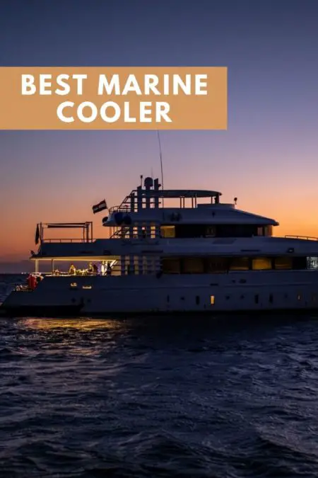 best marine cooler